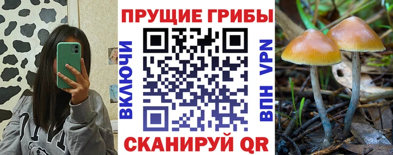 Псилоцибиновые грибы мухоморы  где купить   блэк спрут ONION  Новоуральск 
