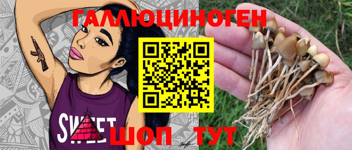 Галлюциногенные грибы Psilocybe  Вход с VPN  Новоуральск 